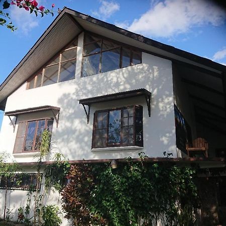 La Jungla Experience Lodgings - Vacation Home And Apartment Boquete Dış mekan fotoğraf
