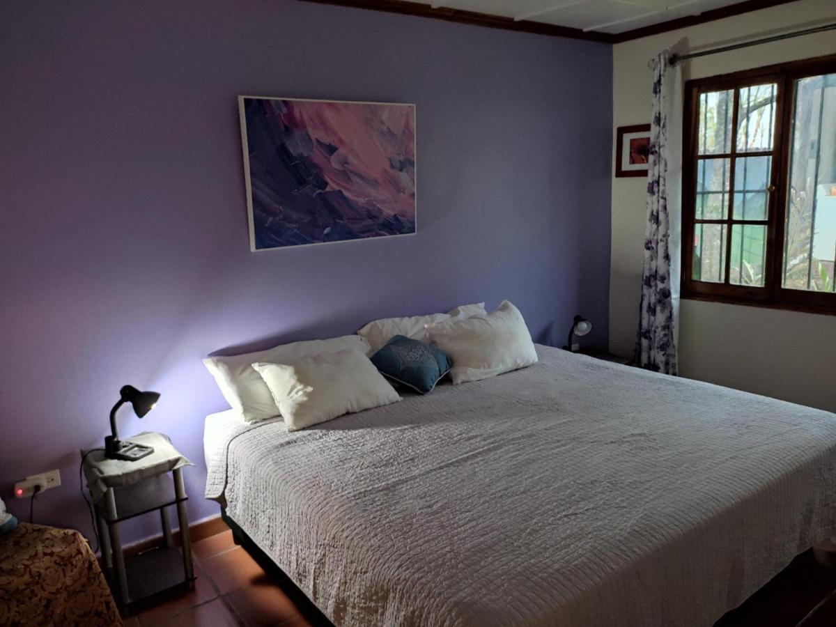 La Jungla Experience Lodgings - Vacation Home And Apartment Boquete Dış mekan fotoğraf