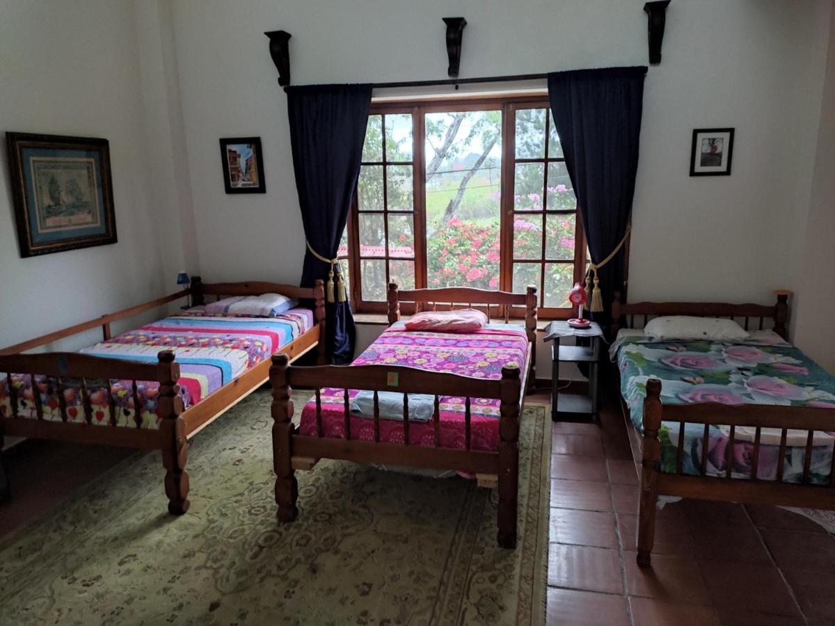 La Jungla Experience Lodgings - Vacation Home And Apartment Boquete Dış mekan fotoğraf