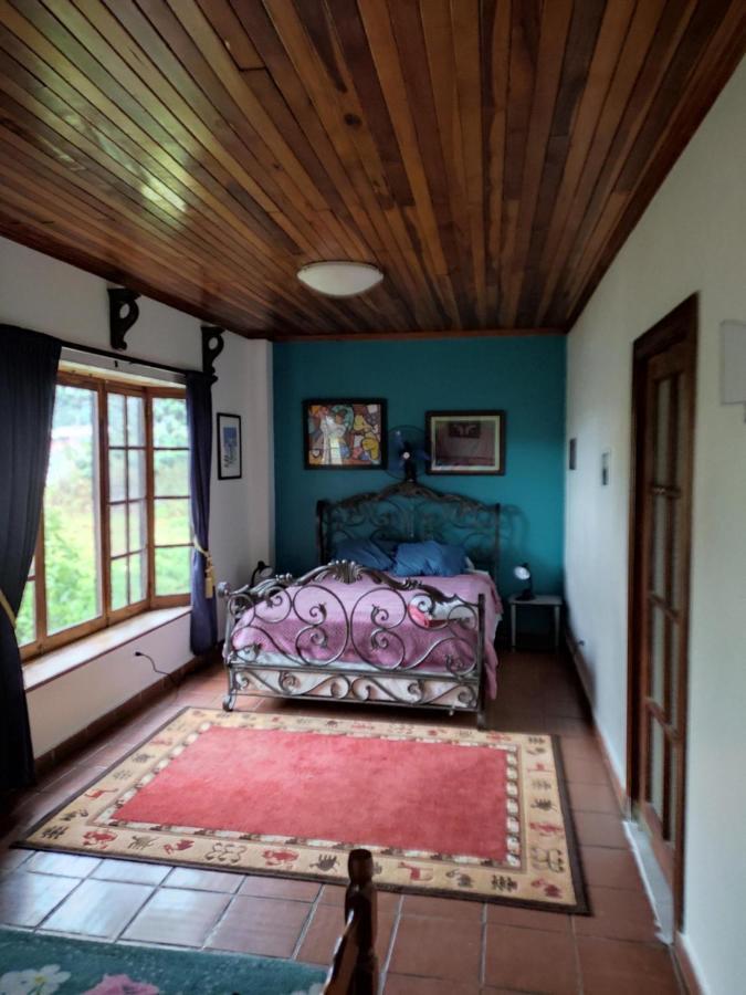 La Jungla Experience Lodgings - Vacation Home And Apartment Boquete Dış mekan fotoğraf