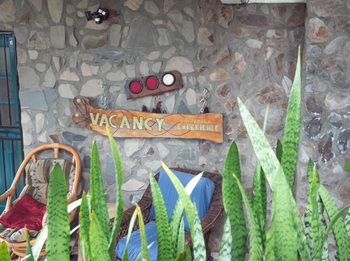 La Jungla Experience Lodgings - Vacation Home And Apartment Boquete Dış mekan fotoğraf